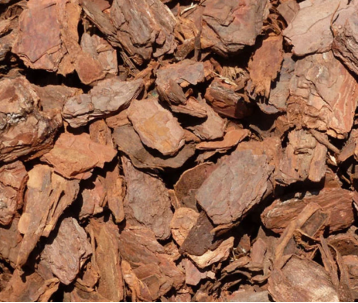 Bark nuggets.