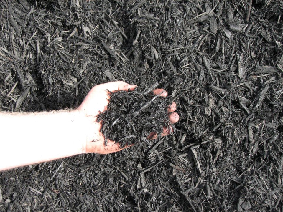 Fine mulch dyed black.