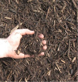 Shredded hardwood mulch.