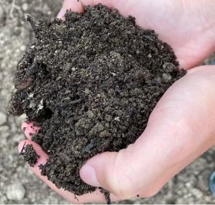 Topsoil blended with mushroom compost.