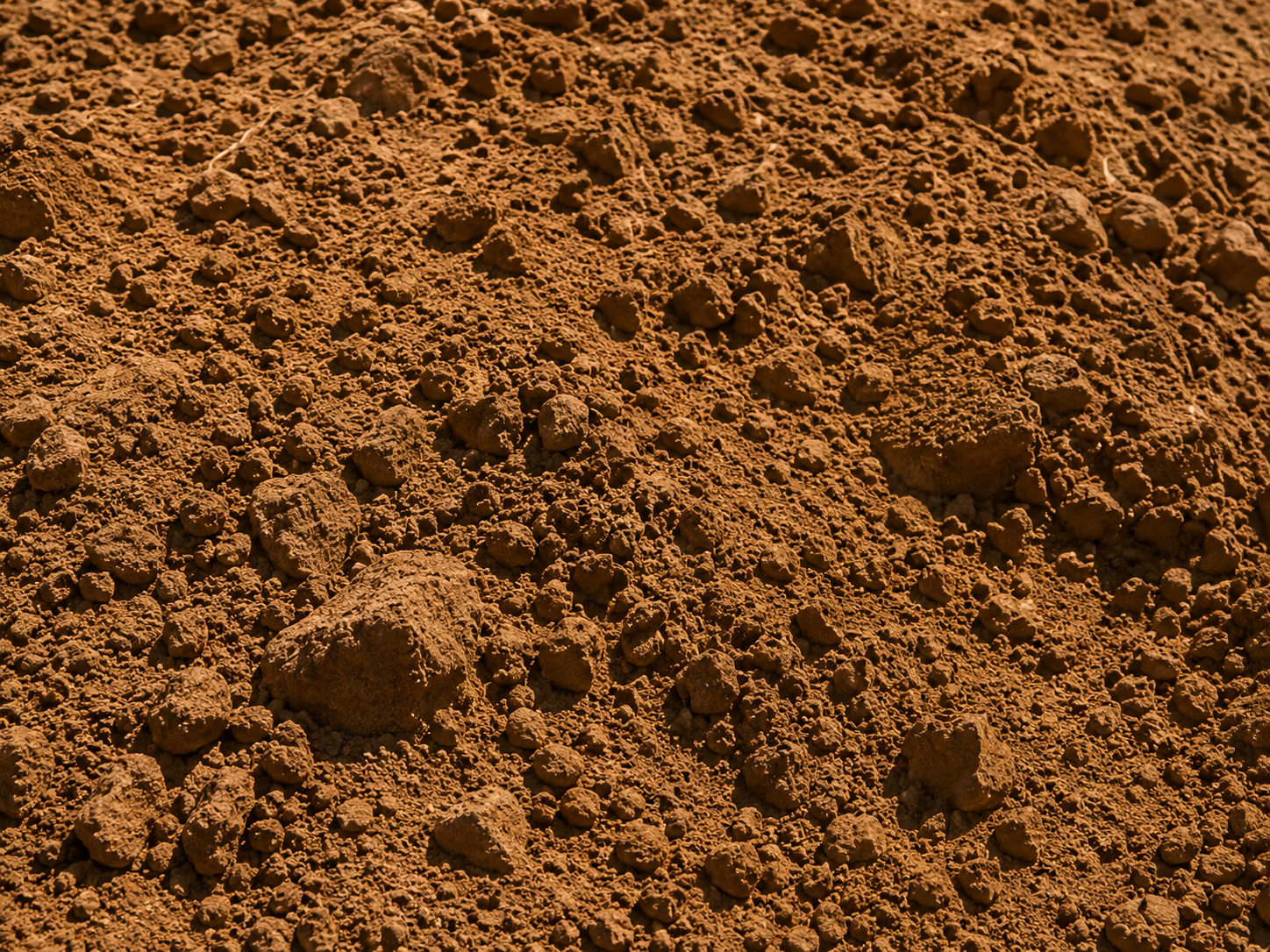 fill-dirt