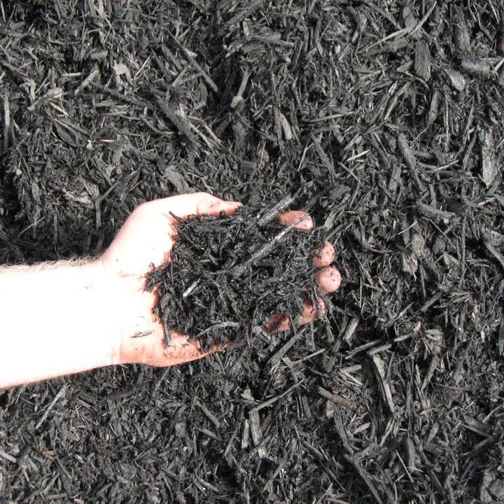 black-mulch